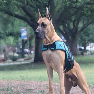 Meet your Posher, Ellen